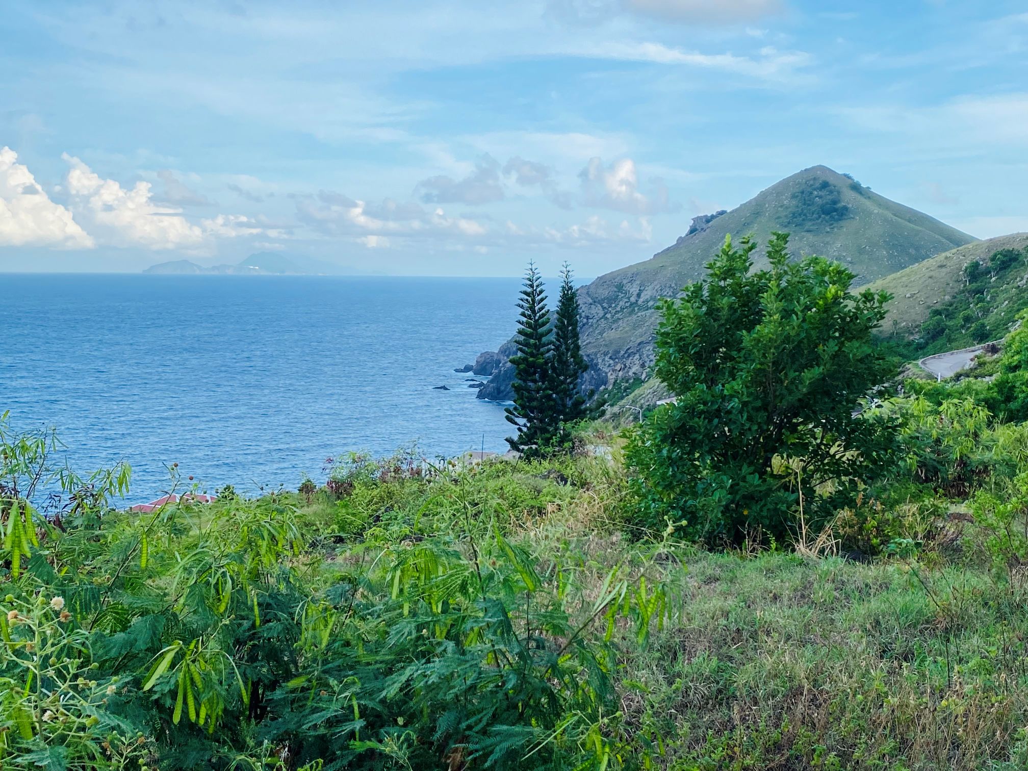 First Light Property